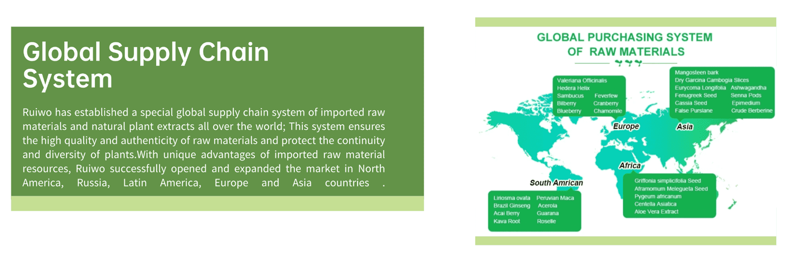 why choose us 2new why choose us 2new