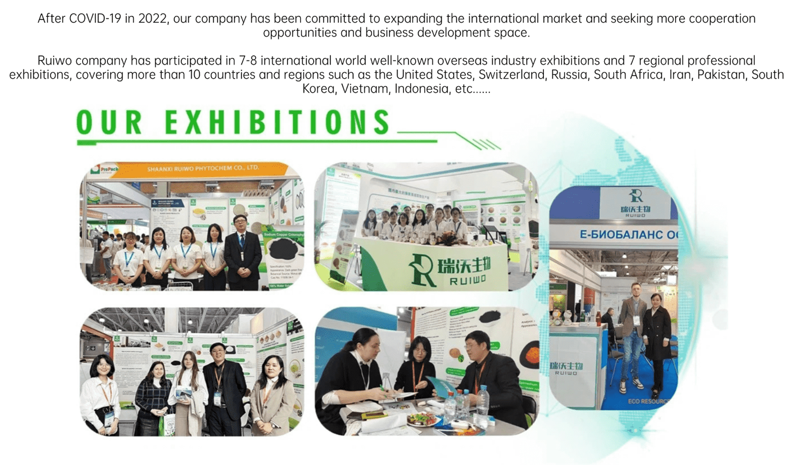 exhibition exhibition